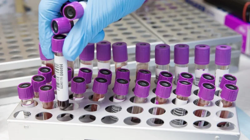 Nowoczesne technologie w sprzęcie laboratoryjnym
